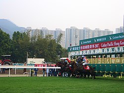 2007 Hong Kong Cup.JPG
