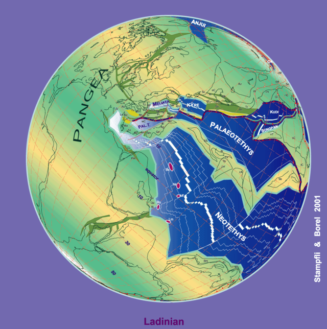 2. A media que Cimeria migrou desde Gondwana a Eurasia o pechouse Paleo-Tetis e abriuse o Neo-Tetis.
