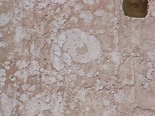 Détail d'une plaque de revêtement du baptistère de Parme, en calcaire ammonitico rosso avec une section d'ammonite.