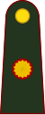 Аргентина-Армия-OF-6.svg