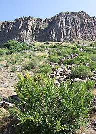 منطقه کوهستانی ارمنستان