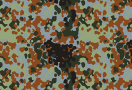 Бельгійський Flecktarn