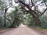 Botany Bay Plantation Wildlife Management Area