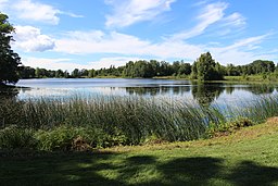 Bruksdammens sydöstra del vid Forsmarks bruk där den avvattnas av Forsmarksån.