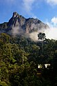 The UNESCO World Heritage Committee has assigned the designation "World Heritage in Danger" to The World Heritage Site "Rainforests of the Atsinanana", composed of Marojejy National Park (pictured) and five other protected natural areas, was identified as "World Heritage in Danger" in 2010 due to an increase in illegal logging in the parks following the 2009 coup d'etat in Madagascar.