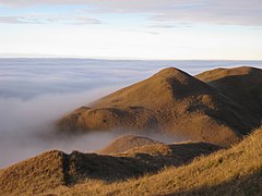 Mount Pulag summit and sea of clouds