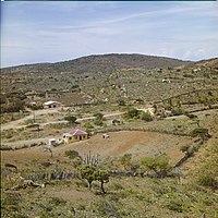 View of the landscape seen from Jamanota (1964).