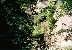 A Domini-barlang bejárata alulról (fent, középen)
