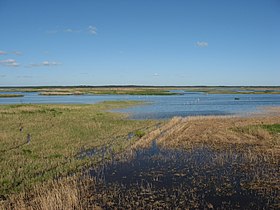 Image illustrative de l’article Lac d'Engure