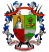 Official seal of Naguanagua