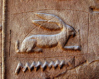 Hare hieroglyph photo