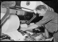 Obsluha česacího stroje na bavlnu (USA 1941)