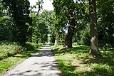 Stieleichen-Allee in Holzhausen