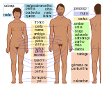 Human body features-pt.svg