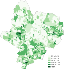 White-Irish