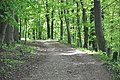 Drive at edge of slope in Böttcherberg-Park