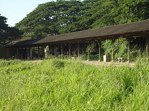 Koki Harbour Terminus.JPG