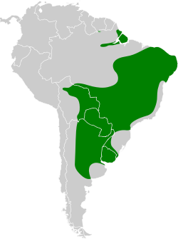 Distribución geográfica del trepatroncos chico.