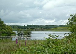 Loch Dornal - geograph.org.uk - 476098.jpg