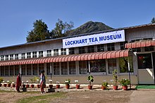 Lockhart Tea Museum.jpg