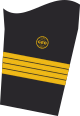 Dienstgradabzeichen eines Kapitäns zur See (Geomilitärischer Dienst) auf dem Unterärmel der Jacke des Dienstanzuges für Marineuniformträger