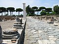 イタリア中部・ミントゥルノのアッピア街道遺跡と松並木