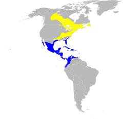      Nidificación      Invernada