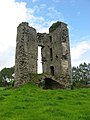 Le château de Monkstown, en ruines, près du village.