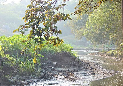 Mula river- A cursed beauty