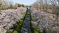 2021年4月20日 (火) 15:24時点における版のサムネイル