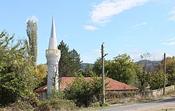 Nanovitsa'daki bir camii, 2011