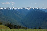 Arbaroj kaj la Olimpa Montaro de Hurricane Ridge.