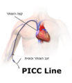 תמונה ממוזערת לגרסה מ־01:58, 26 באוגוסט 2018