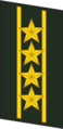 Петлица старшего полковника (Colonel Commandant) сухопутных войск КНР (2007—2009).