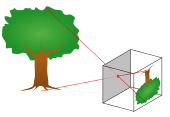 The basic way a pinhole camera works Pinhole-camera.svg