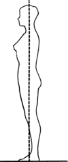 2. If you are standing correctly, an imaginary line can be drawn from the top of the skull through ear, neck, shoulders, hips, knees, and instep.