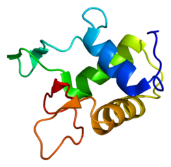 Protein DVL1 PDB 1fsh.png