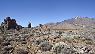 Vue d'une partie des Roques de García dont le Roque Cinchado (au centre) dominés par le Teide.