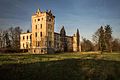 Schlossruine in Gałów