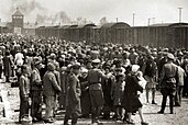 Jews arriving at Auschwitz II in German-occupied Poland, May 1944.