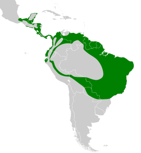 Distribución geográfica del titirijí común.