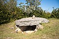 Tumuli-dolmens du Mont-de-Senne