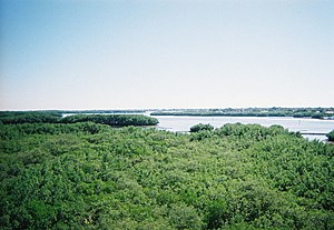 Weeden Island01.jpg