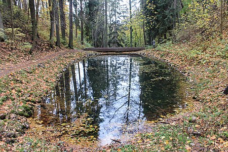 One of Reno villa's cascade ponds