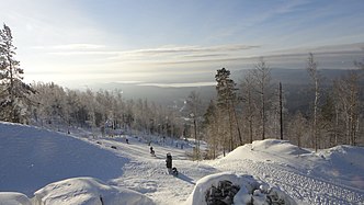 Ježovai-mägen suks'paute vn 2015 uhokus