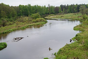 Wiks va Jizdra kuksa