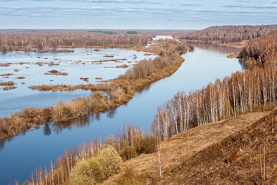 Вязниковская пойма Клязьмы, Владимирская область. Автор — Балашов Никита Евгеньевич