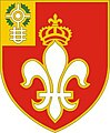 12th Field Artillery Regiment "Nec Temere Nec Timide" (Neither Rashly Nor Timidly)