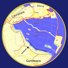 Plate tectonics - 290 million years ago 290 global.png