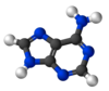 Adenine-3D-balls.png